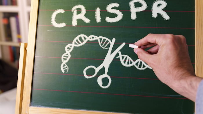 CRISPR/Cas9