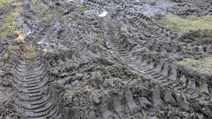 Muddy tracks