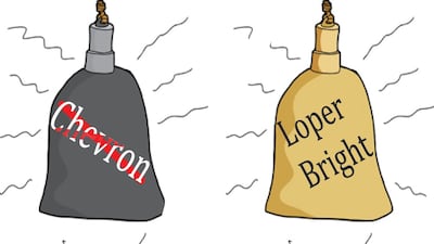 Challenge To US Homeopathic Drugs Regulation Rings Post-Chevron And OTC Monograph Bells