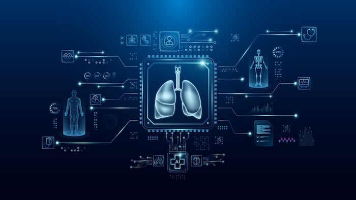 Organ on a chip