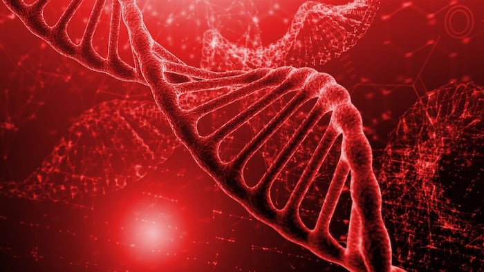 Blood gene therapy