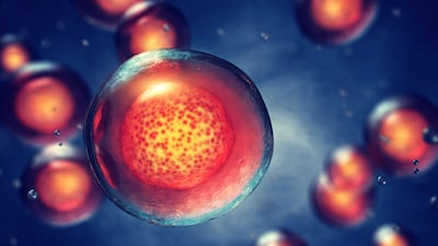 Seraxis Takes Its Islet Cell Tech Into The Clinic