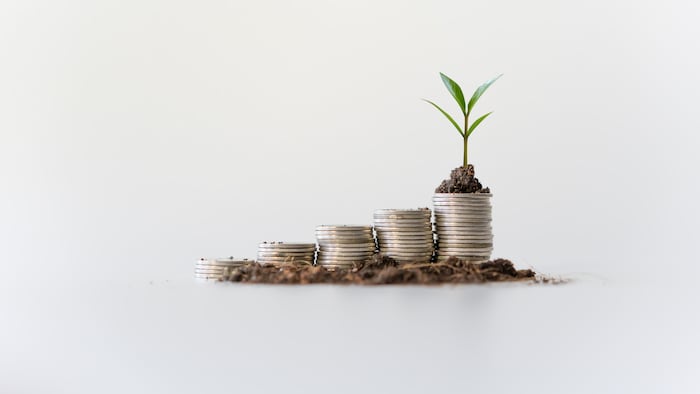 Investment and potential growth