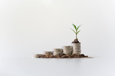 China Innovation, Large Market Continue To Lure Foreign Investment